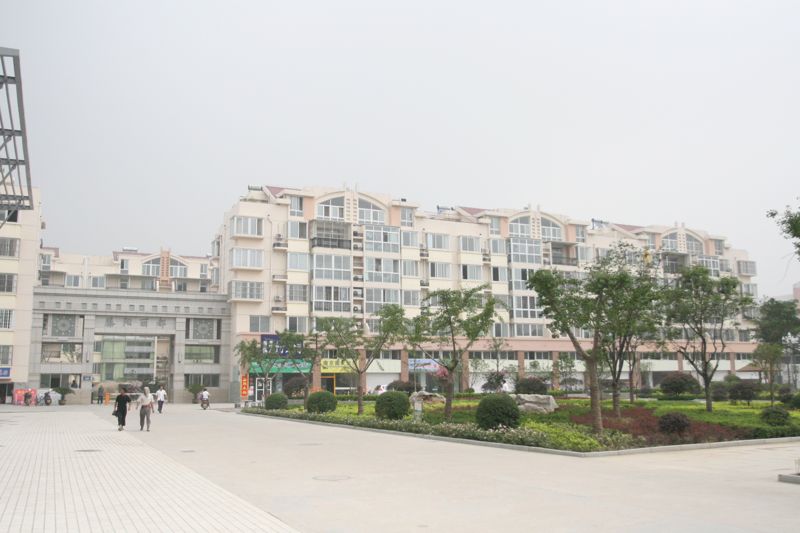 滕陽(yáng)麗都